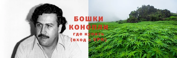 тгк Волоколамск