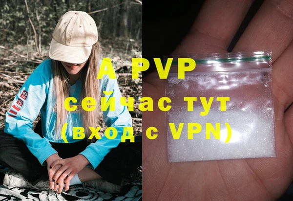 стафф Верхний Тагил