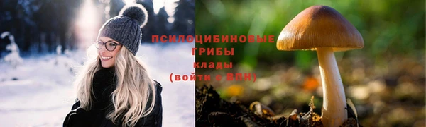 ешки Володарск
