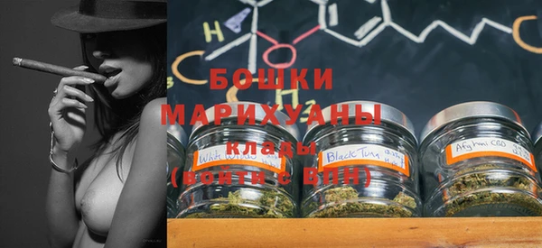 стафф Верхний Тагил