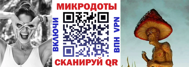 Галлюциногенные грибы Psilocybine cubensis Злынка
