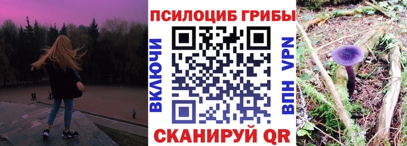 Псилоцибиновые грибы MAGIC MUSHROOMS  Злынка 
