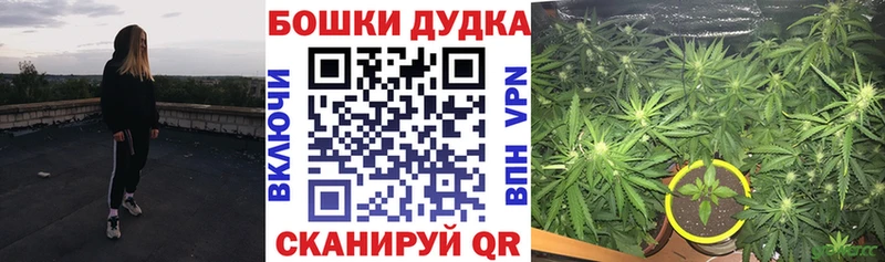 Бошки марихуана марихуана  гидра рабочий сайт  Злынка  дарнет шоп 